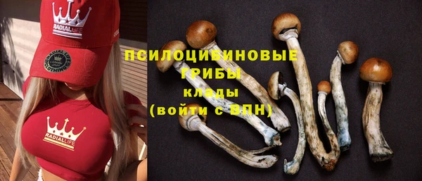 дживик Ладушкин