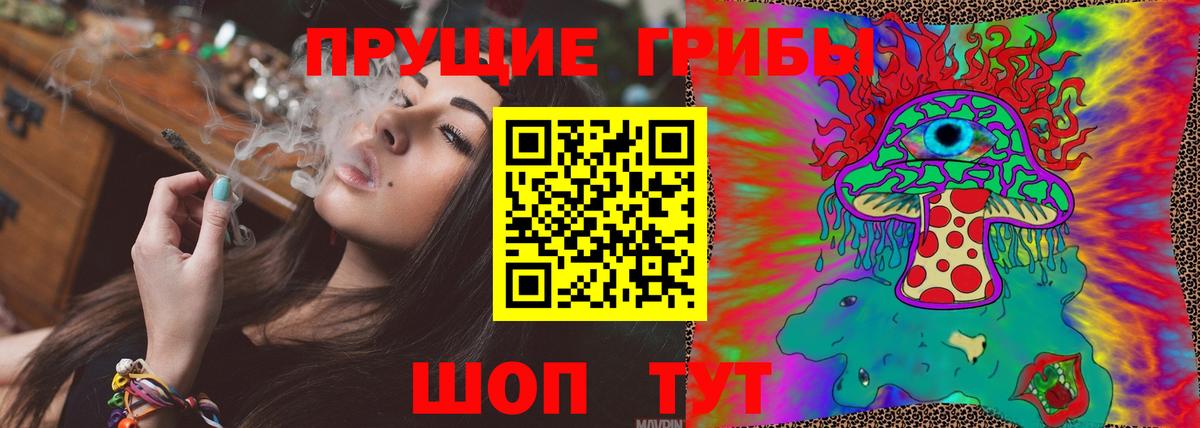 Галлюциногенные грибы Psilocybe Джанкой