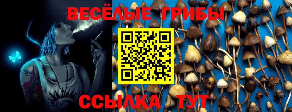 Джанкой  купить  цена  Вход с VPN  Псилоцибиновые грибы Magic Shrooms 