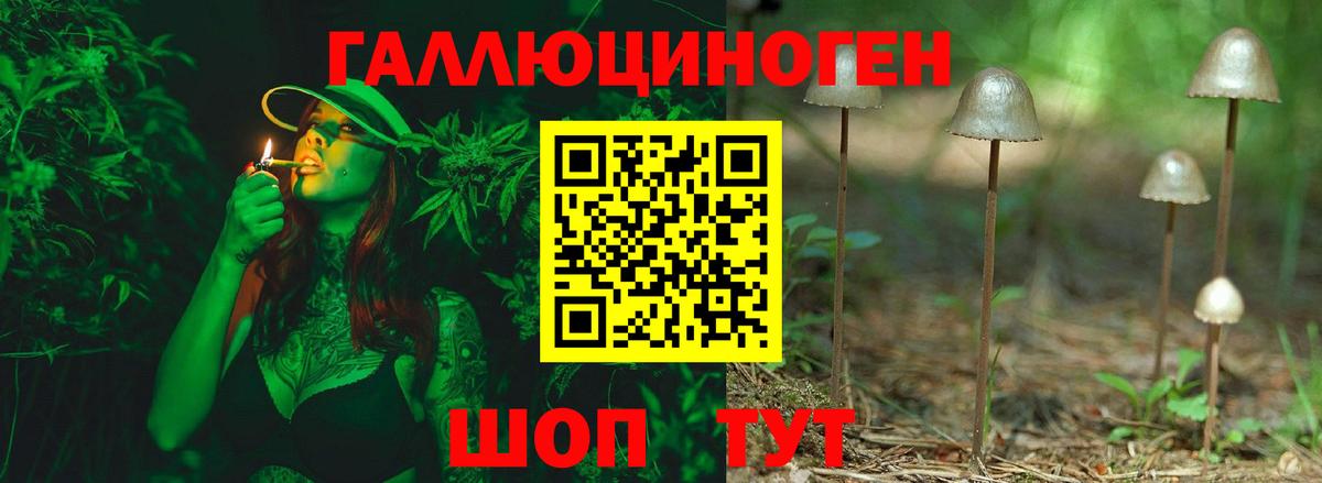Галлюциногенные грибы Psilocybe Джанкой